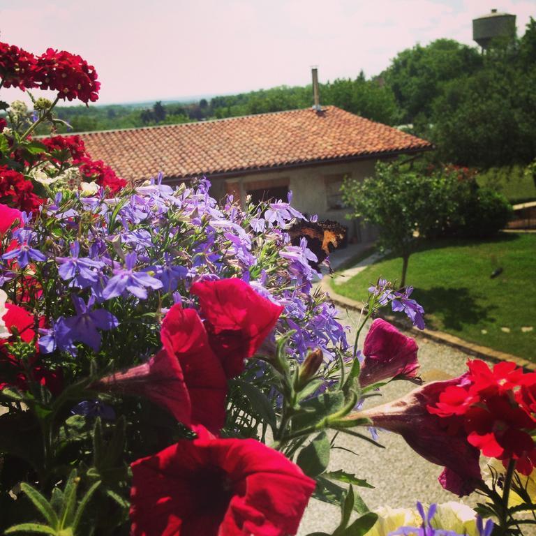 Agriturismo Fruttirossi Trofarello Exterior foto
